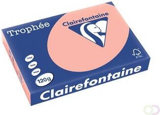 Clairefontaine TrophÃÂ©e Pastel A4 120 g 250 vel perzik